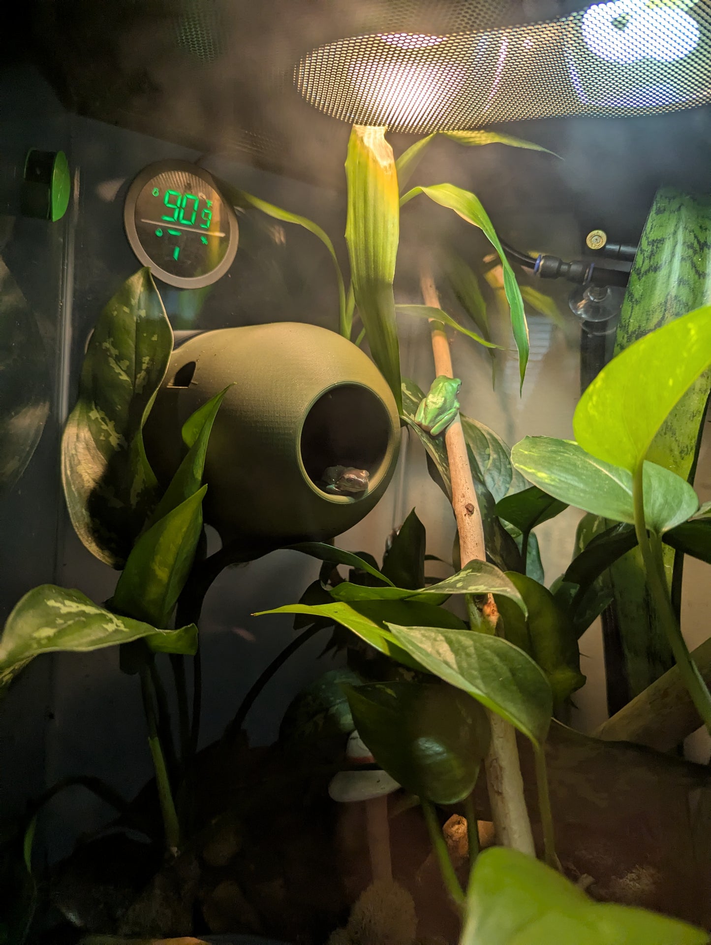 3D Printed Frog Pod Hide | Terrarium Frog Home | Arboreal Amphibian Shelter – Medium & Large Sizes