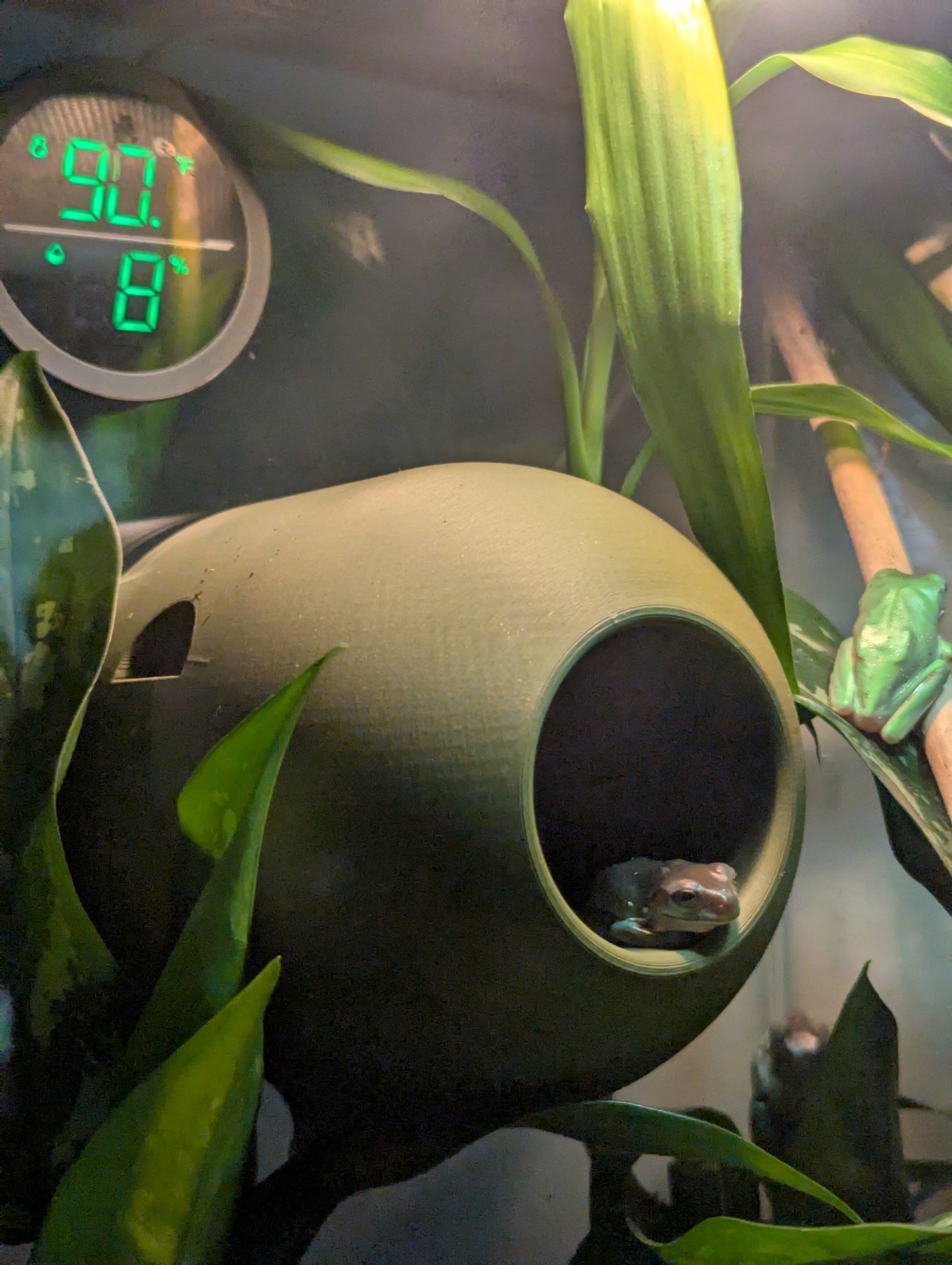 3D Printed Frog Pod Hide | Terrarium Frog Home | Arboreal Amphibian Shelter – Medium & Large Sizes