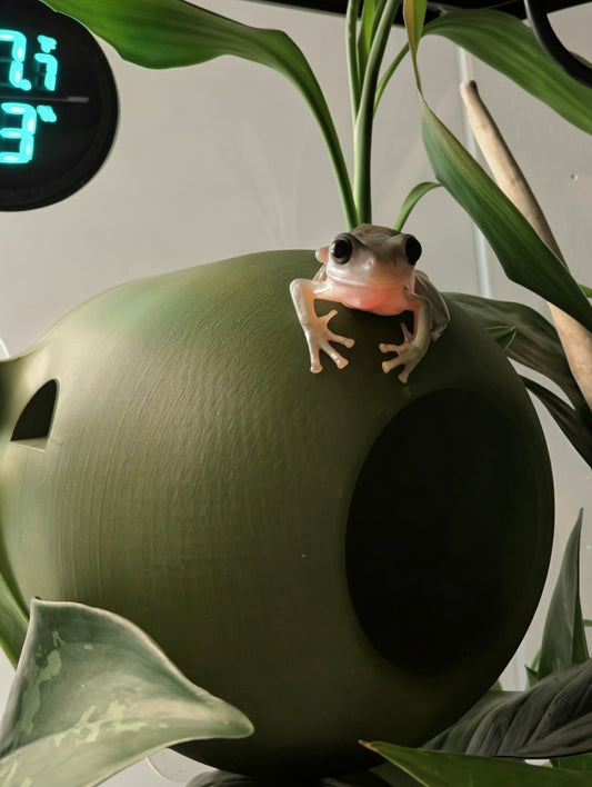 3D Printed Frog Pod Hide | Terrarium Frog Home | Arboreal Amphibian Shelter – Medium & Large Sizes
