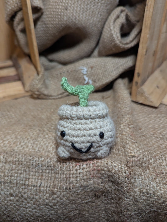 Sprout Plant